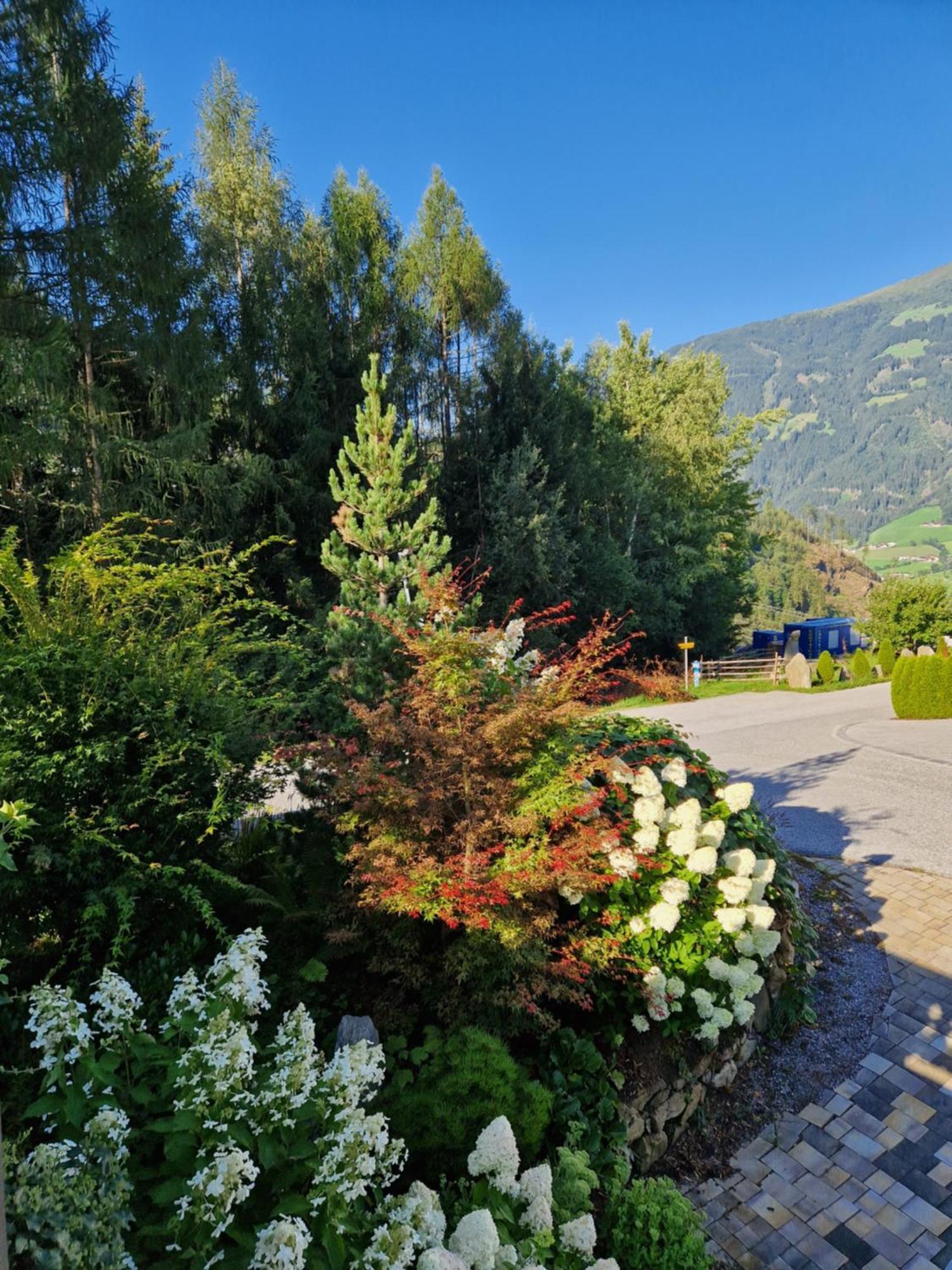 Haus Roland Apartment Zell am Ziller Exterior photo